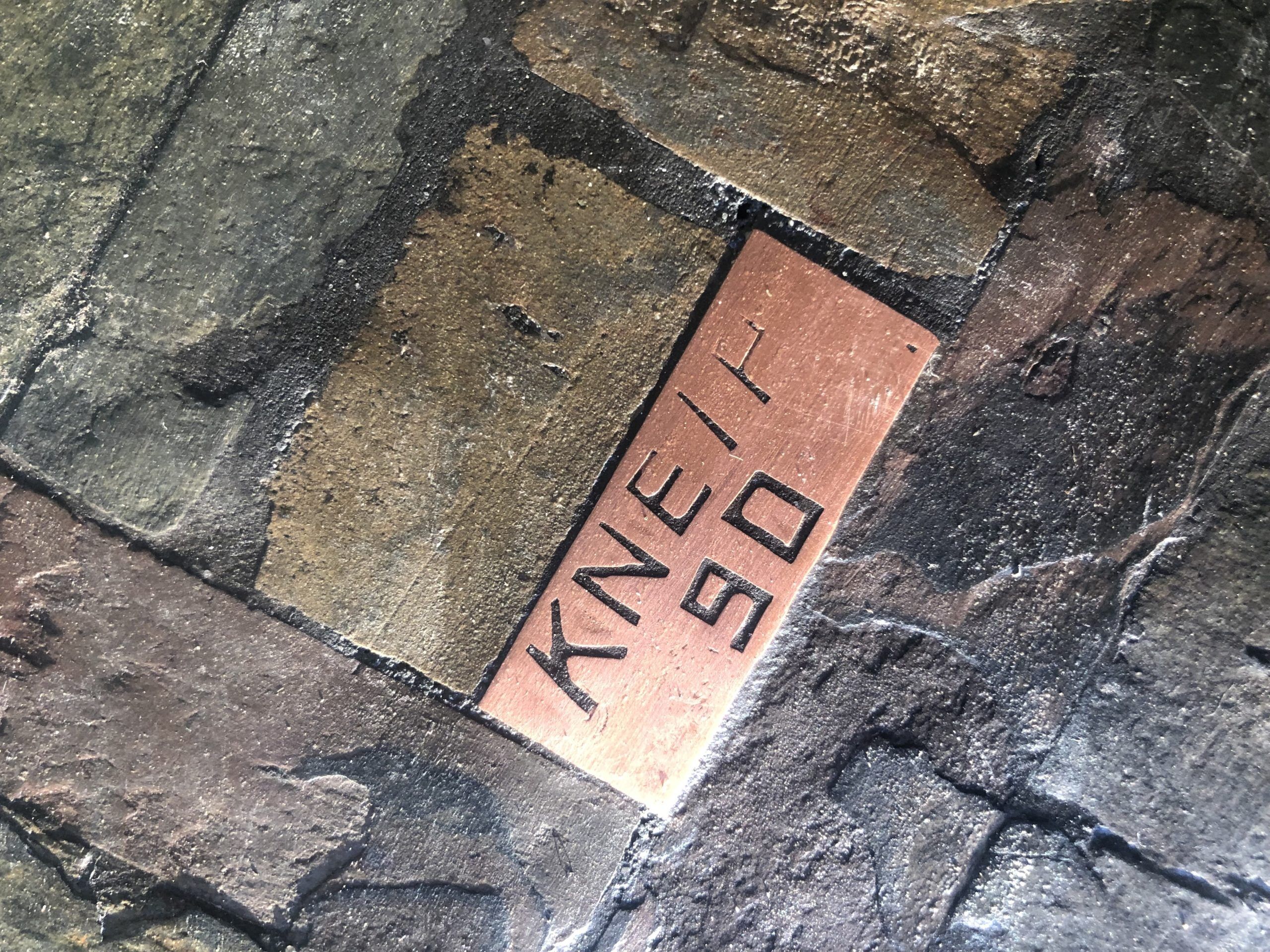 1B0DFEE7-ABE3-45D1-BB58-DC36438C7B18